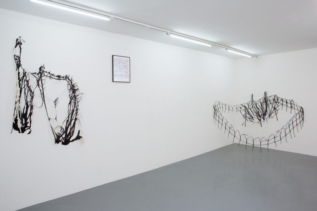 Anja Buchheister • Installation • Species, 2015 Installation View, Galerie Esther Donat